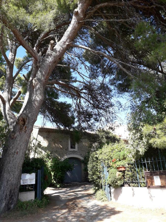 Domaine De La Pinsonniere Villa La Liviniere ภายนอก รูปภาพ